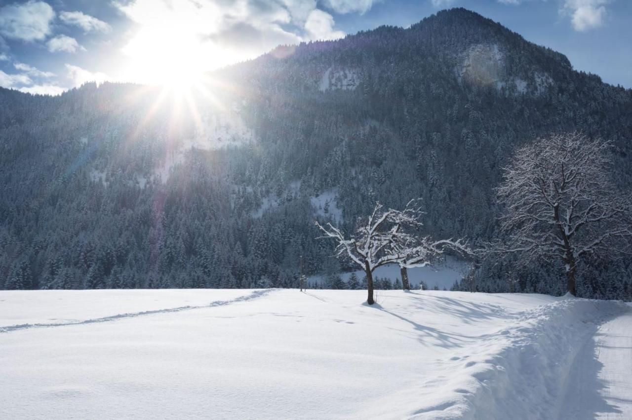 Gaestehaus Midi Reith im Alpbachtal Exteriér fotografie
